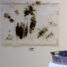 Lengyel-Magyar Nap a Hansági Múzeumban