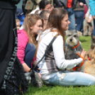 CAC kutyakiállítás (Fotó: Nagy Mária)