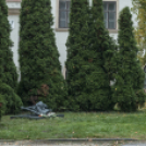 1956-os városi Megemlékezések és Gyásznap /Mosonmagyaróvár/