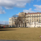 1956-os szellemi vetélkedő