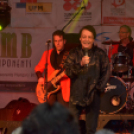 Szigetköz Ízei, Vármegye borai Fesztivál (péntek) (Fotó: Horváth Attila)