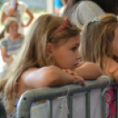 Szigetköz ízei, Vármegye borai Fesztivál 3 nap, 140 Éves Mosonmagyaróvár Város Tűzoltósága (Fotó: Bánhegyi István)