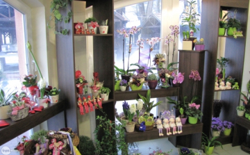 Hol ér véget a kreativitás és hol kezdődik a művészet?