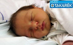 Varga-Zölderdő Noel, Halászi