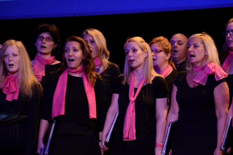 A Hospice Segítő Kéz Alapítvány Kuratóriumának jótékonysági estje 