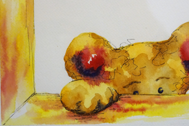 Ki engedte ki a macikat?