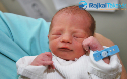 Böcskei Benedek, 2470 gr. Máriakálnok