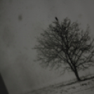 Művésztalálkozó (Fotó: Nagy Mária)