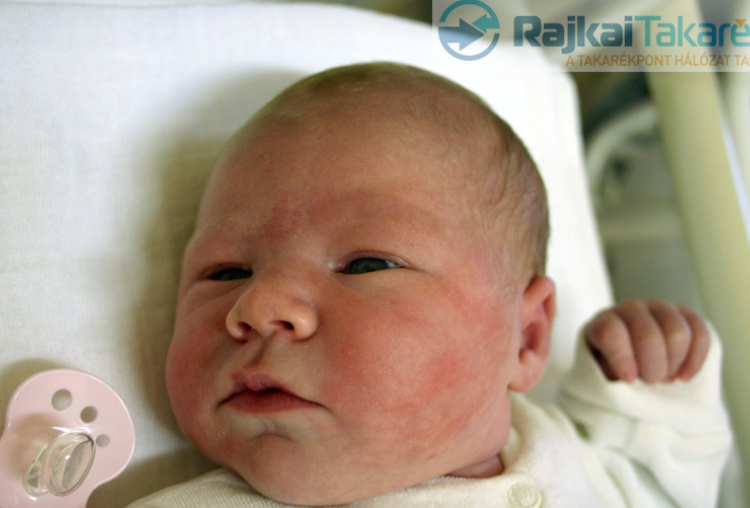 Nyul Szófia Lara, Mosonmagyaróvár