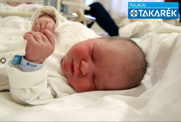 Markó Nola, Mosonmagyaróvár