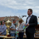 Apró kezek, csodakertek kertépítő verseny (Fotó: Horváth Attila)