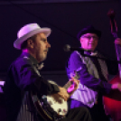 Szigetköz ízei, Vármegye borai Fesztivál - 1 nap