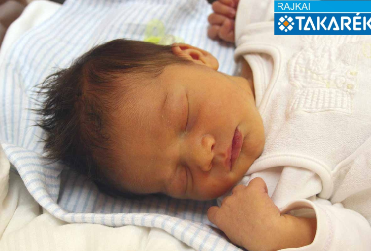 Hackl Márton, Mosonmagyaróvár