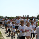 XV. Greiner Szigetköz Félmaraton