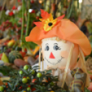 Legszebb konyhakertek (Fotó: Nagy Mária)